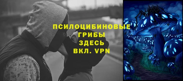 прущий лед Арсеньев
